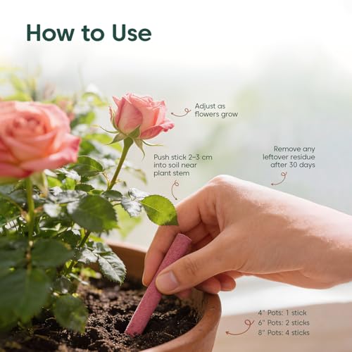 Image of Kyari Plant Fertilizer Sticks Pack of 35 - Slow Release Flower Booster Fertilizer for Hibiscus, Mogra, Rose, Bougainvillea, Peace Lily - Indoor & Outdoor Flowering Plants - 100% Natural
