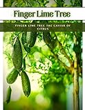  Finger Lime Tree: Finger Lime Tree the Caviar of Citrus (English Edition)