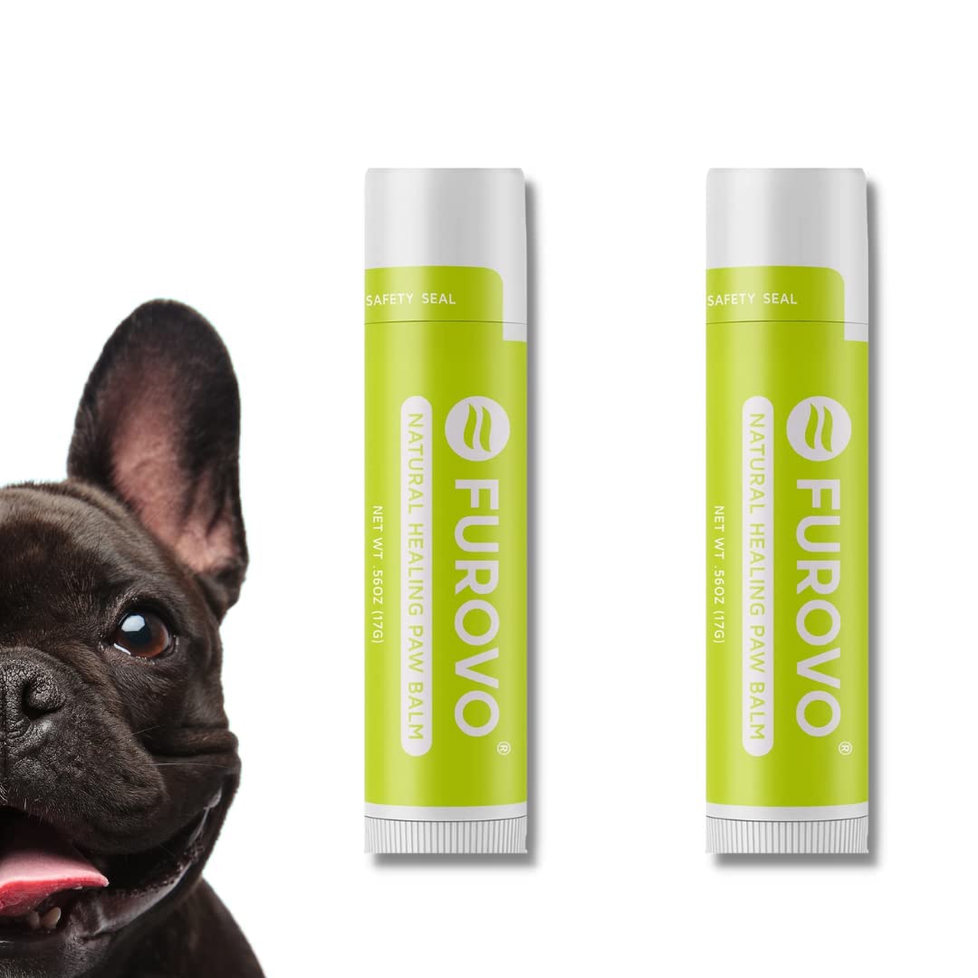 How Do Dog Paw Pads Heal