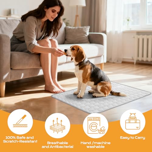 Chumix Wiederverwendbare Hundematte, Weichem Stoff Extra für Haustiere, Hundedecke für Unterwegs, Hundebettmatten für Große Hunde und Katzen,Ideal für Zuhause, Auto, Reisen(100x70cm XL)