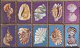 Gebiet: Palau-Inseln Prophila Collection Palau-Inseln 37-46 Zehnerblock (kompl.Ausg.) 1984 Muscheln und Meeresschnecken (Briefmarken für Sammler) Wassertiere