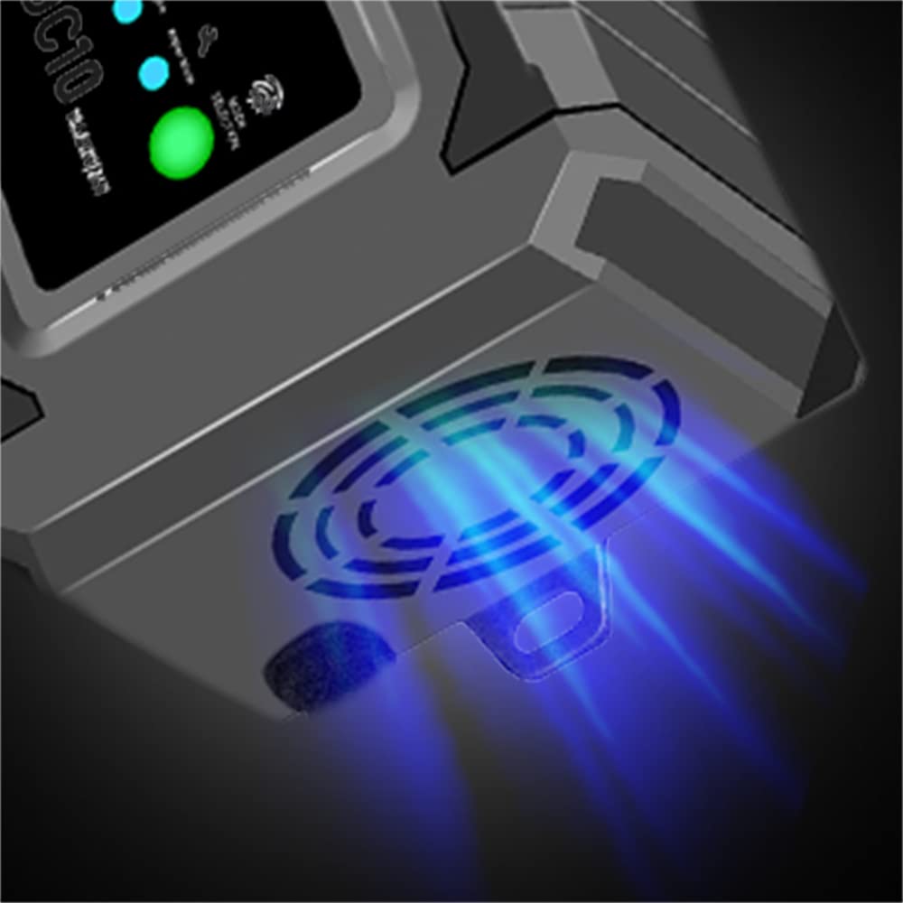 Caricabatterie auto 10A 12V/24V Caricabatterie automatico LCD intelligente con funzione invernale ed estiva Protezioni multiple per batterie auto moto piombo-acido/AGM/EFB/Gel