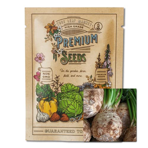 5 Substitutes for Celery Root