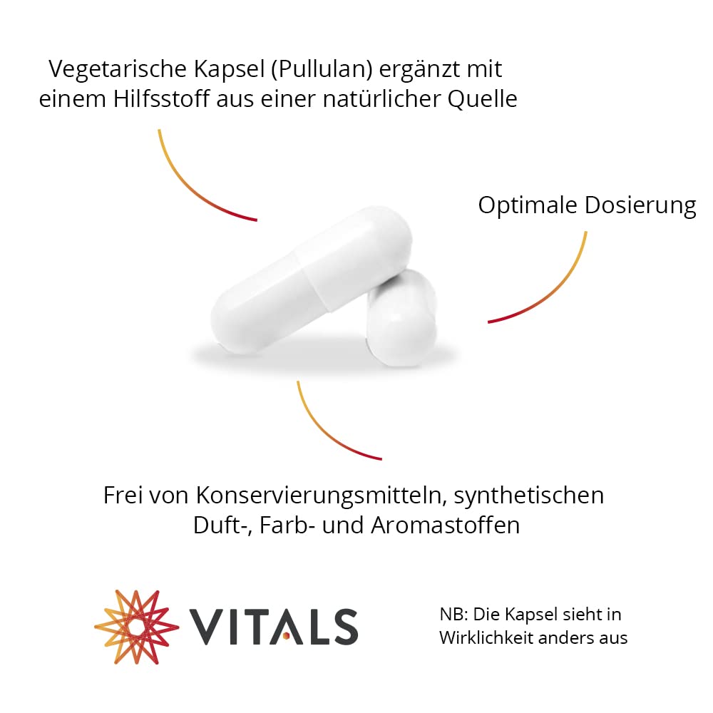 Vitals - Enzymformel Pro 90 Kapseln. Hohe Enzymaktivität in jeder Kapsel. 100% vegan.