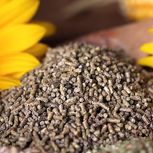 WachtelGold® Wachtelkorn ProVital 2,5 kg – hochwertiges Alleinfutter für Legewachteln | Kräuterkomplex aus Oregano, Thymian & Spirulina | unterstützt Verdauung & Vitalität | ohne Gentechnik & Palmöl