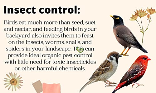 Lifes-Bird-Food-Sparrow-Bird-Pellet-Feed-Seed-Mix-450-Gram-More-Than-6-Grains-Refill-Pack-for-All-Small-Wild-Birds-House-Sparrows-Finches