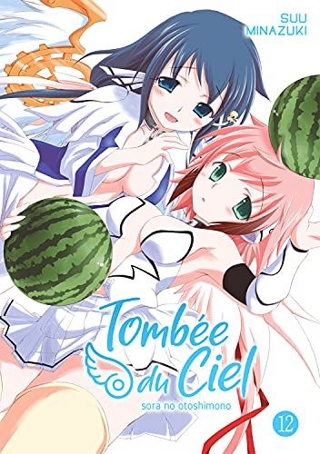 Tombée du Ciel — Tome 12