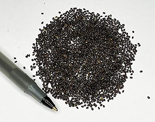 Catnip Seeds - Heirloom Non-Gmo Catnip Seeds (8000+ Catnip Seeds) A41 #TOP2