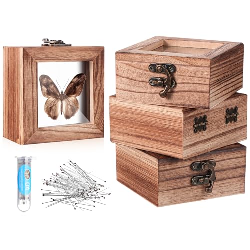 Image of Reallnaive 4 Pcs Insect Pinning Kit 4 inch Wooden Display Case Box, EVA Foam Insect Pinning Board, 100 Bug Pins for Butterfly Specimen Bugs Collection Tools (Carbonized Wood Color)