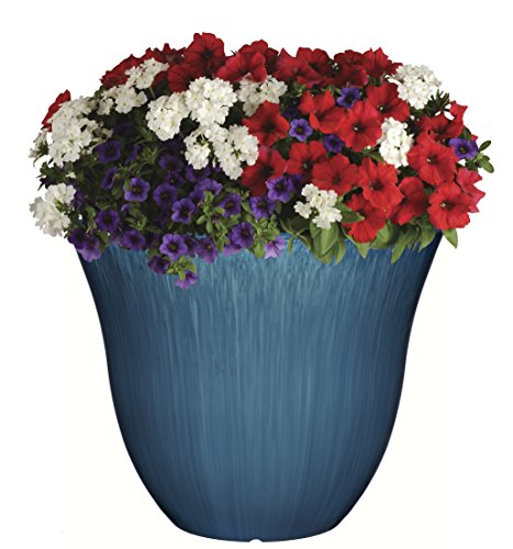 Classic Home And Garden Patio Pot Ocean 13" Honeysuckle #TOP1