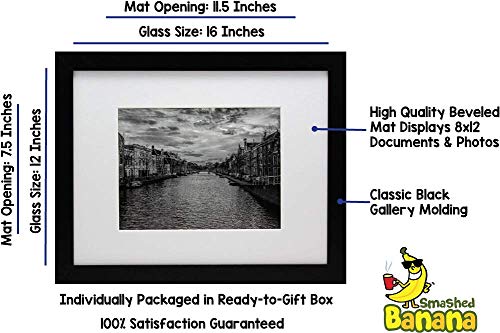 12x16 Black Gallery Picture Frame with 8x12 Mat - Includes Attached Hanging Hardware - Display 12 x 16 or 8 x 12 Digital Pictures - Clear Plexiglass Front - Ready to Hang Right Out of The Box