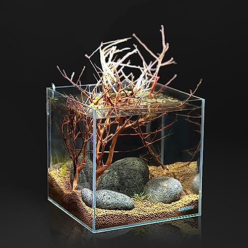 Image of LANDEN Taiji Stone Natural Rocks(18lbs, 2~9 inches,6pcs) for Aquascape and Bonsai, Aquarium, Paludarium, Fish Tank Decoration Rocks, Landscaping Model Stone