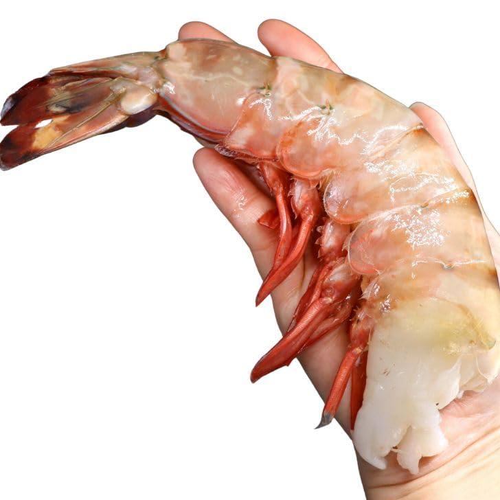 Amazon.co.jp: えび専門店 海老右衛門