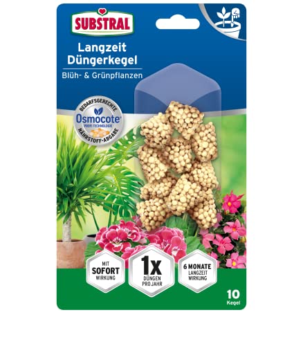 Preisvergleich Produktbild Substral Grünpflanzen Langzeit Düngerkegel Blüh- & Grünpflanzen, mit Osmocote Technologie, düngt 6 Monate, 10 Stück