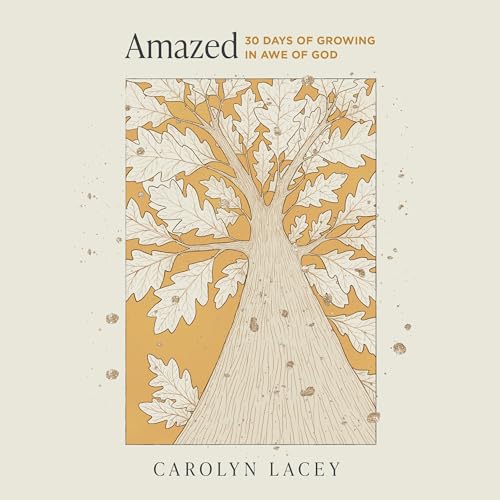Amazed cover art