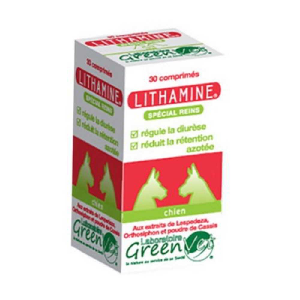 Greenvet LITHAMINE Chien