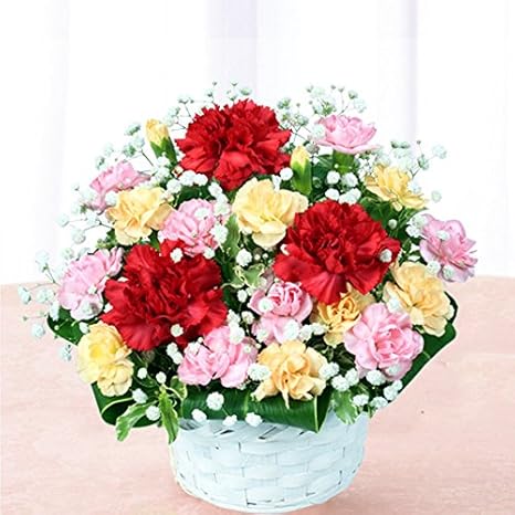 Amazon 花キューピット 母の日お花屋さんおまかせアレンジ 43円 フラワーアレンジメント オンライン通販