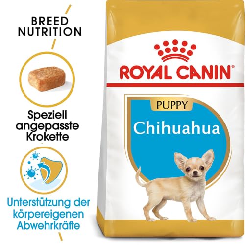 Chihuahua Puppy | Trockenfutter für Welpen | 500 g | Bis zum 8. Monat