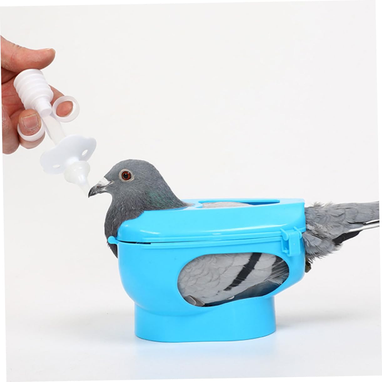 BESPORTBLE Fijadores para Palomas 6piezas Soporte Fijo de PP para Inyección y Alimentación Anillo para Patas, Práctico para Observación y Manejo Cómodo