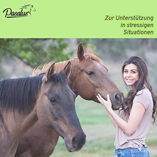 Pasalus Pferde Bachblüten Rohrzuckerwürfel bei Angst, Stress und Schreckhaftigkeit - Für Turnier und Training oder Reisen einsetzbar