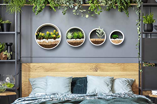Knikglass Mixed Set Of 4 Hanging Wall Planters Circle Vertical Planters Round Air Plant Holder Vintage Flower Pot Succulent Cactus Container Iron Retro Metal Vase For Wall Decor Accents (White) #TOP2