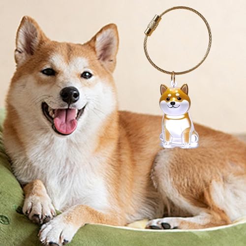 Navna Haustier-Schlüsselanhänger für Hundehaare oder Einäscherung von Asche, in robuster Box, Schlüsselanhänger, sentimentales Haustiergeschenk