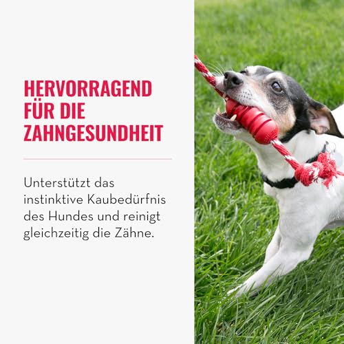 KONG Dental mit Seil - Für die Zahnpflege von Hunden - Befüllbares Kauspielzeug - Reinigt Zähne und Zahnfleisch - Für Kleine Hunde