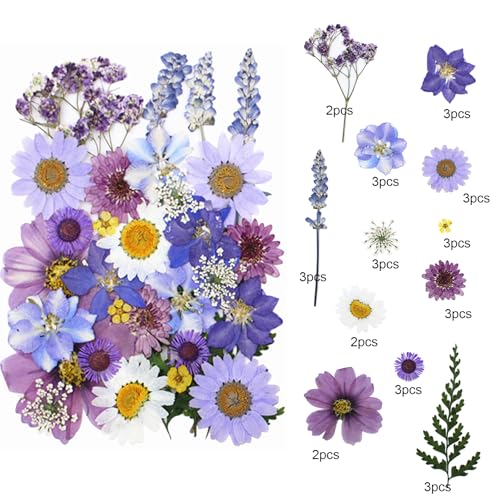 Flores secas prensadas para manualidades DIY resina 33 piezas miniatura 3