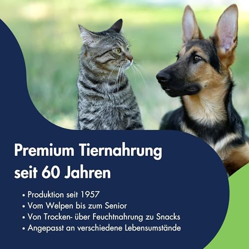 DR.CLAUDER'S - Trainee Snack | Leicht verdauliche Snacks aus 95% Fleisch mit Inulin für Hunde und Katzen. Schonend dampftrocknete Leckerlis im Frischebeutel | 500g Lamm