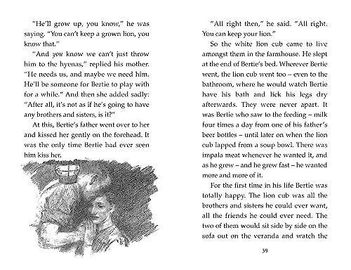 The Butterfly Lion: The classic illustrated children's story of unforgettable friendship - Image 5