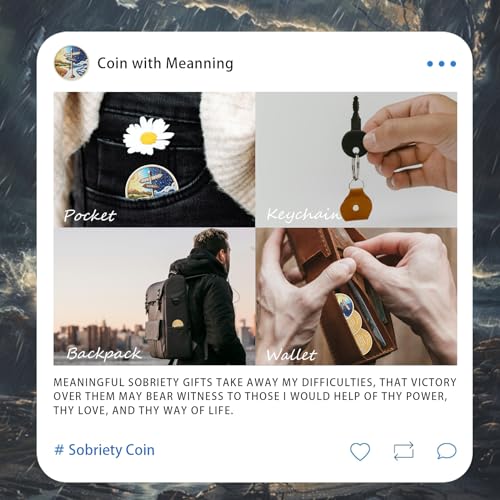 original one year sobriety coin - reborn from storm aa coins - 1 year aa chips and medallions - 1-10 years na aa celebrate recovery addicts - narcotics alcoholics anonymous gifts for men women