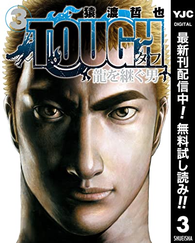 TOUGH 龍を継ぐ男【期間限定無料】 3 (ヤングジャンプコミックスDIGITAL)