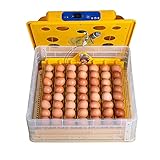 Incubadora de Huevos Automática WQ 56 - 56 Unidades - Control de Temperatura y Volteo Automáticos - Acequias, Higrómetro y Ventilador - Luz LED - Fácil Limpieza - Especial Huevos de Gallina