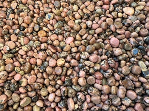Image of GAF TREASURES 2 oz Lot Natural Semi Tumbled Rhodonite Gemstone Chips, Crushed Mini Rhodonite Crystals, Undrilled Crystal Chips (Rhodonite)