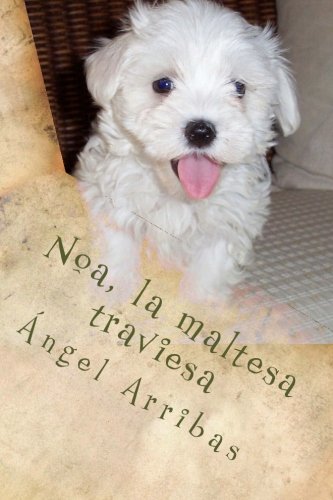Noa, la maltesa traviesa Noa, la maltesa traviesa