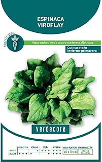 Amazon.es: verdecora - Jardinería: Jardín