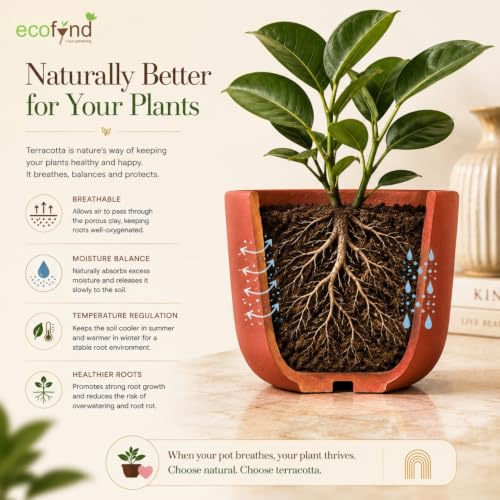 Image of ecofynd 4.5 Inch Rainbow Arch Terracotta Pot for Indoor Plants, Decorative Clay Planter for Home, Living Room, Balcony, Office & Garden, Flower Pot for Herbs & Houseplants (TPOT007-BRN)