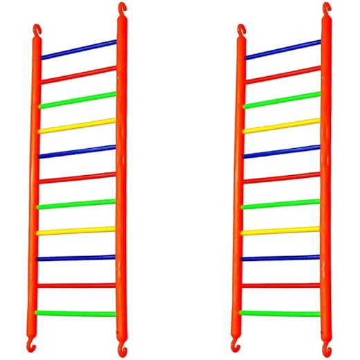 Plastic Toy Ladders 12 Step Multi Colour 2 Piece
