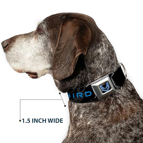 Collier de chien Pontiac Firebird Buckle Down noir et bleu réglable medium - 8