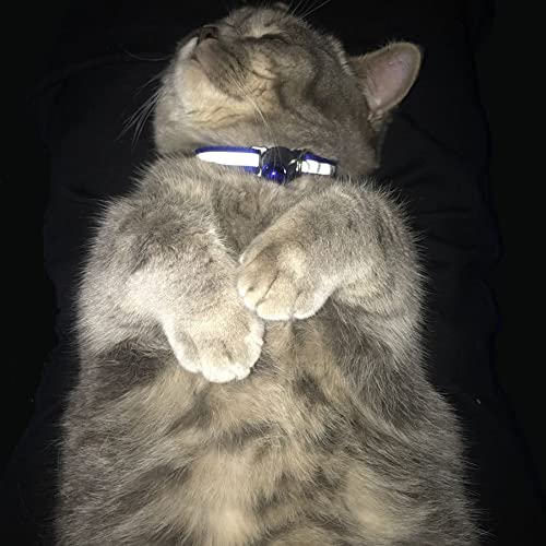 D-buy Cat Collars, Cat Collars with Bell, Breakaway Cat Collars, Reflective Cat Collars, Nylon Cat Collars with Bell… - Image 7
