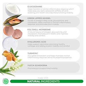 Joint supplement for dogs  90 soft chews  with green lipped mussel glucosamine turmeric fish oil msm and yucca schidigera soft chews max strength   cucciolini doodles