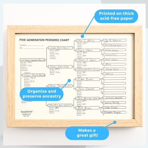 Easygenie Five Generation Pedigree Charts (30 Acid-Free Sheets, 8.5 By 11 Inches) Genealogy Forms For Ancestry thumb #1