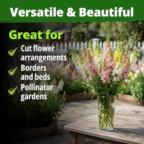 Image of HOME GROWN Snapdragon Northern Lights Seeds, 10,000 Flower Seeds for Planting 2026 Spring, Pastel Garden Blooms of Snap Dragon, Pollinator Friendly Outdoor Cut Flowers (Antirrhinum majus)
