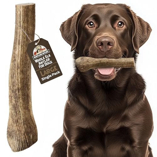 Heartland Elk Antlers for Dogs - Daily Dental Care Chews for Aggressive Chewers to Reduce Plaque & Prevent Destructive Behavior (Splinter Free, Whole, 7', Large, 1-Pack,...