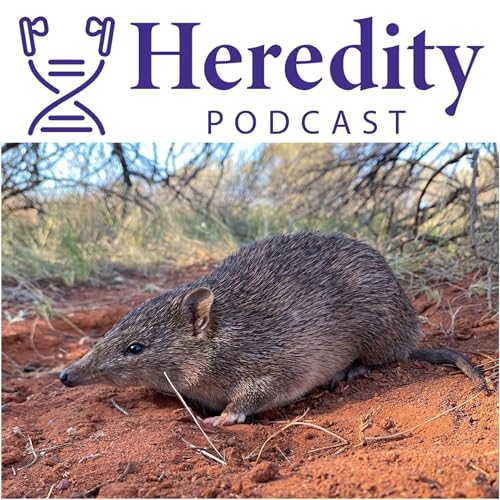 Page de couverture de Golden bandicoot and Australian conservation genomics