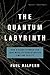 The Quantum Labyrinth: How Richard Feynman and John Wheeler Revolutionized Time and Reality