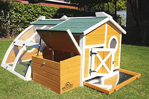 Pets Imperial® Grüner Ritz Hühnerstall mit integriertem Hühnerauslauf - Hühnerstall aus Holz - 165 cm (B) x 170 cm (T) x… – Bild 4