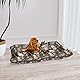 Italian Bed Linen Sogni e capricci Pets Gepolstertes Hundekissen Maxy, Brown Dogs, 60 x 100 cm, Maxy-CSmicro-Brown DOGS-60X100