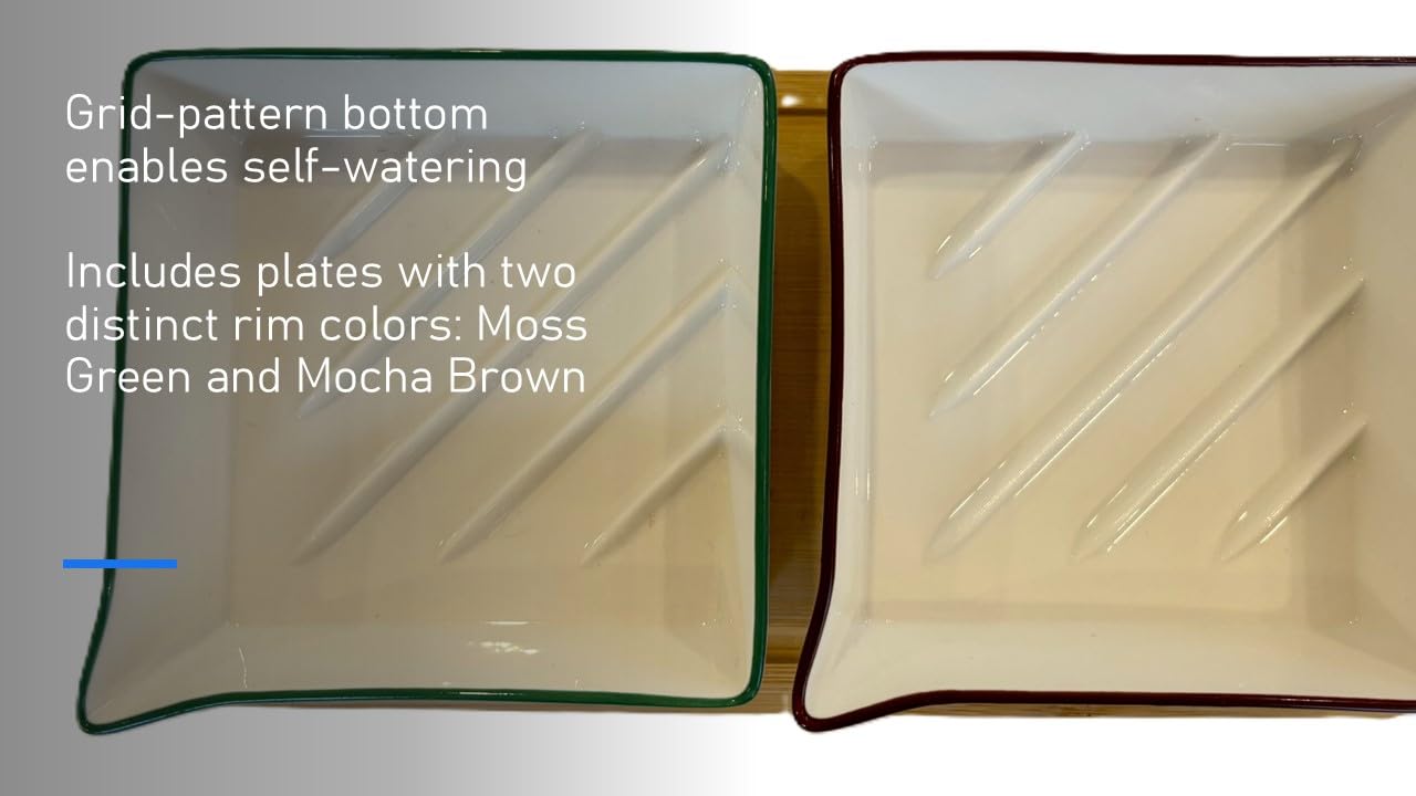 Zestaw do uprawy Microgreens. Łatwy w użyciu, samonawadniający. Zawiera dwie specjalnie zaprojektowane tace ceramiczne oznaczone kolorami z pasującymi pokrywkami, aby stworzyć optymalne przytulne