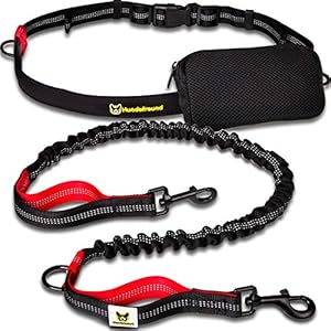 Handvrije hondenriem om te joggen, rood en zwart, elastisch en reflecterend van 120-170 cm, voor hardlopen, canicross, wandelen en wandelen